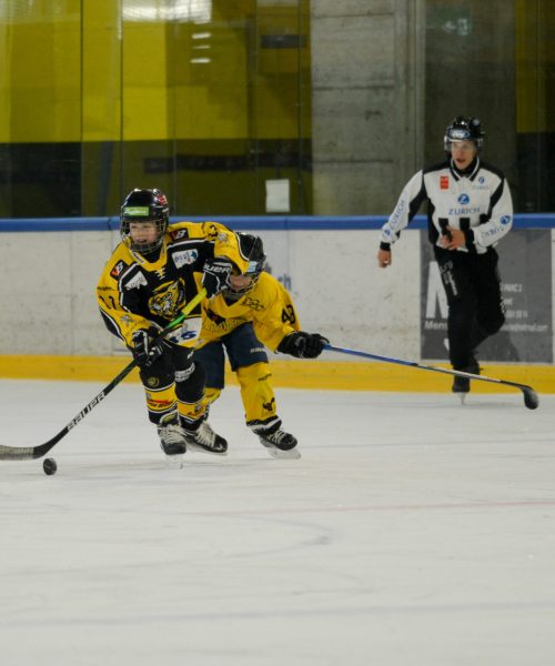 Ivo_DSC_6274_rwk